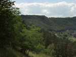 grafika